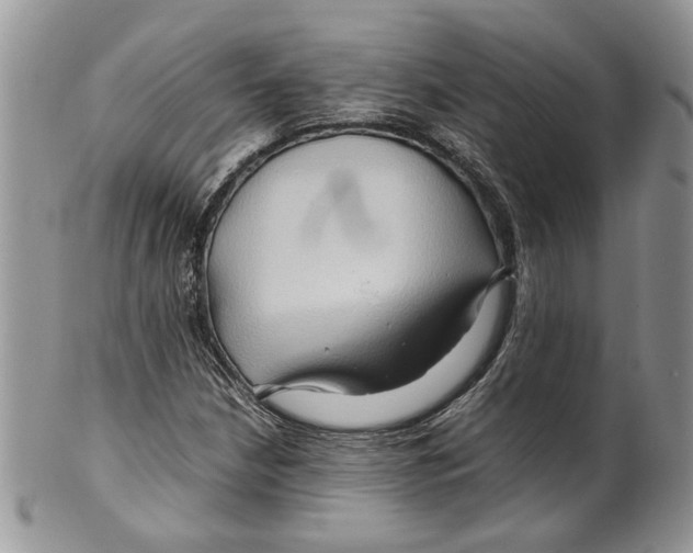 X0000099571210200806131249