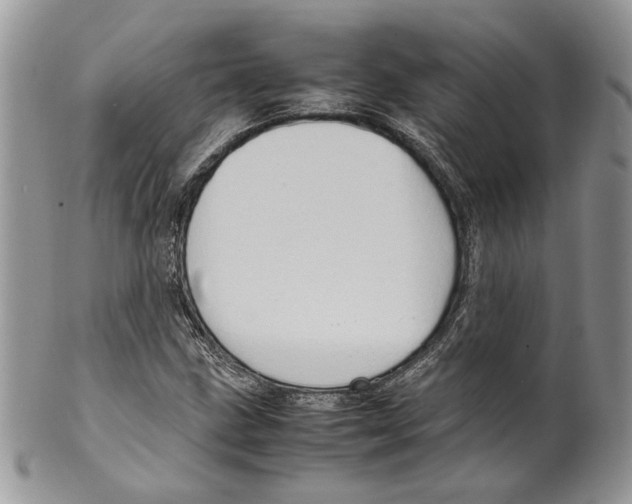 X0000099571211200806131249