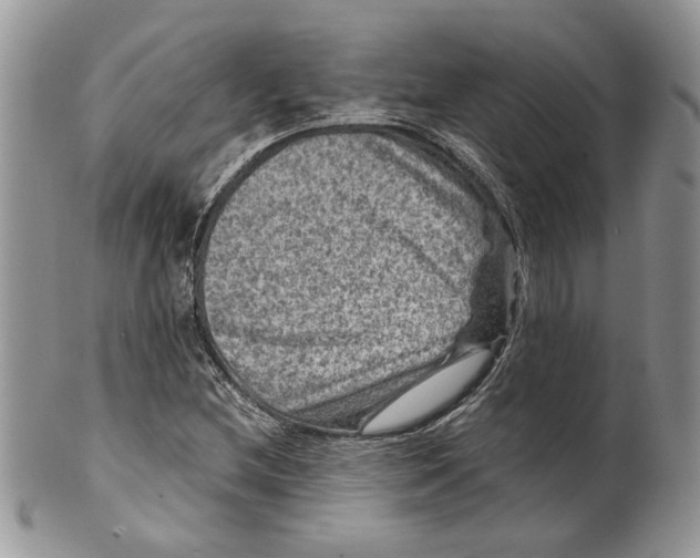 X0000099571212200806131249