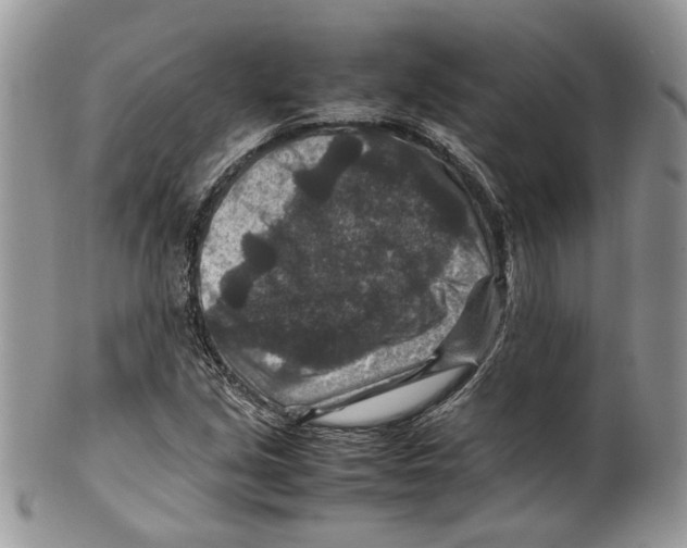 X0000099571213200806131249