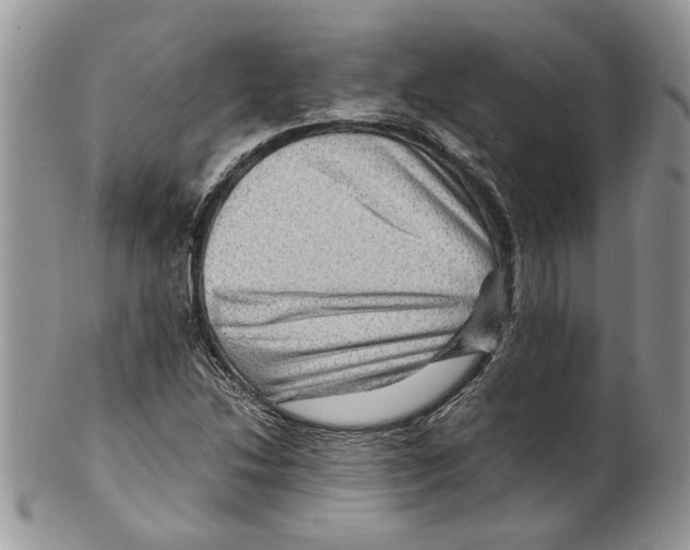 X0000099571214200806131249