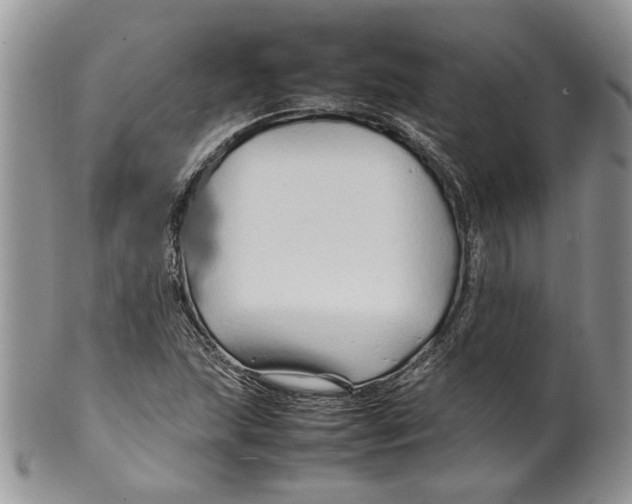 X0000099571215200806131249