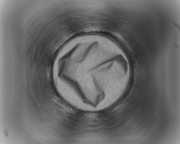 X0000099571217200806131249