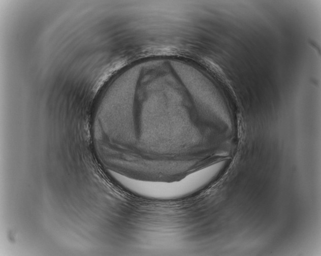 X0000099571218200806131249