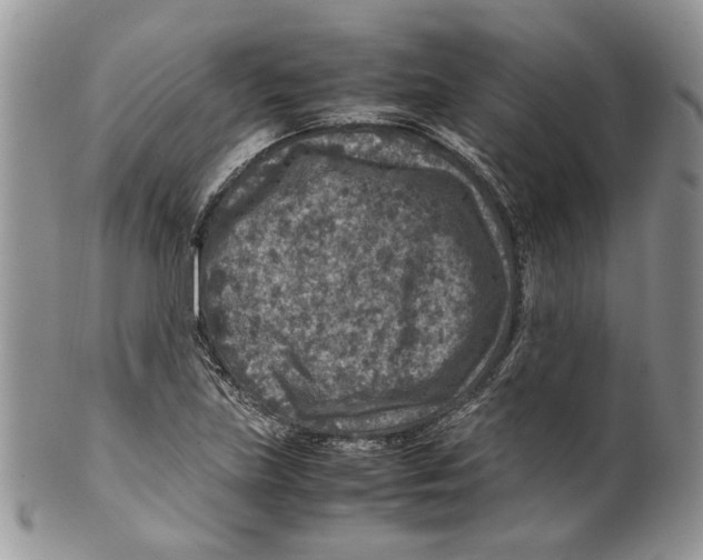 X0000099571219200806131249