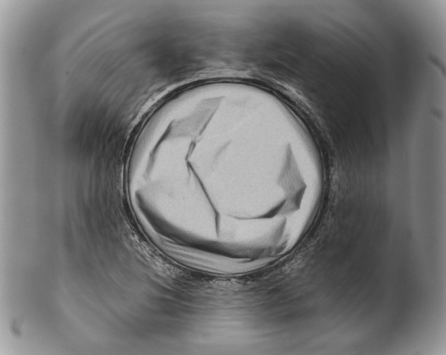 X0000099571220200806131249