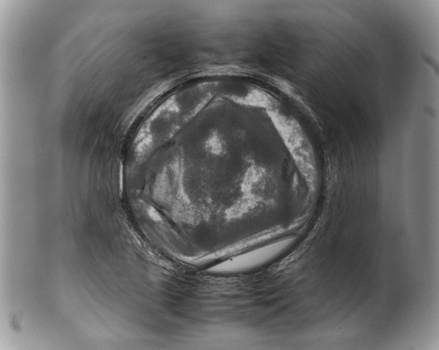 X0000099571221200806131249
