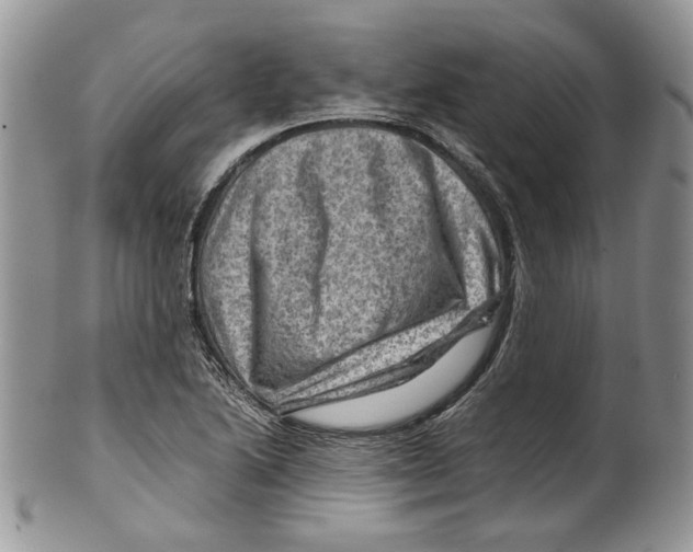 X0000099571222200806131249