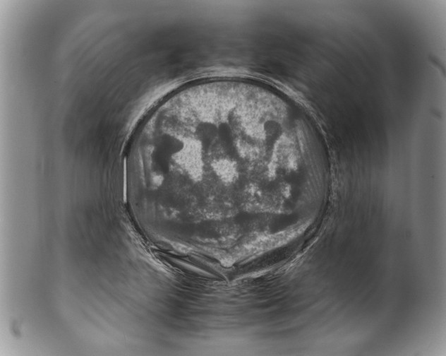 X0000099571223200806131249