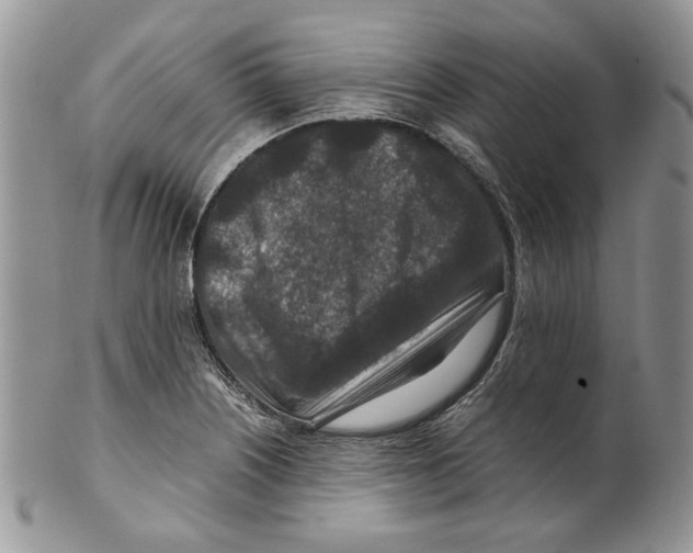 X0000099571226200806131249
