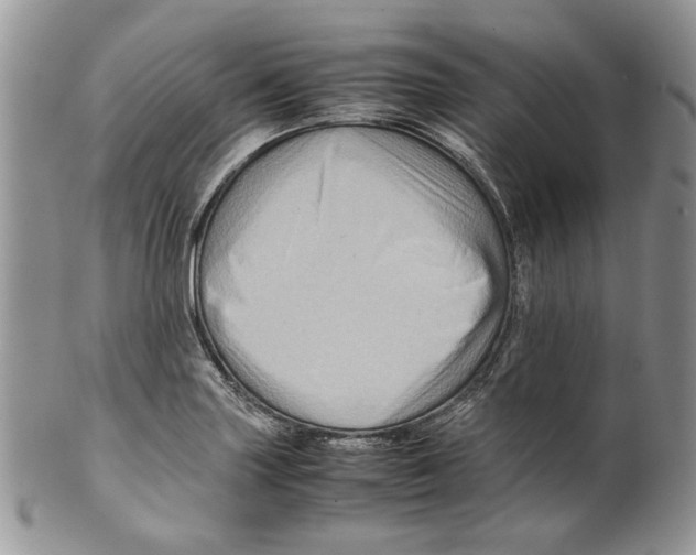 X0000099571227200806131249