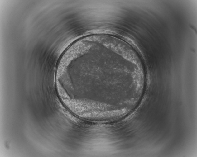 X0000099571228200806131249
