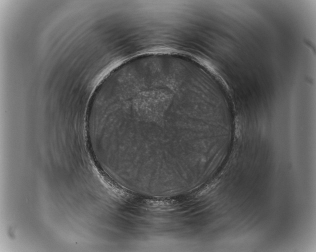 X0000099571229200806131249
