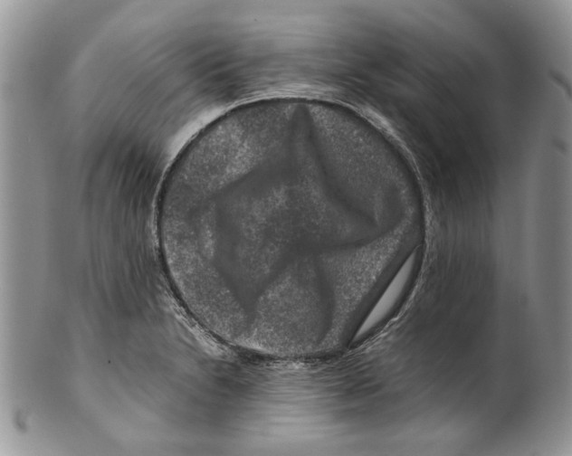 X0000099571230200806131249