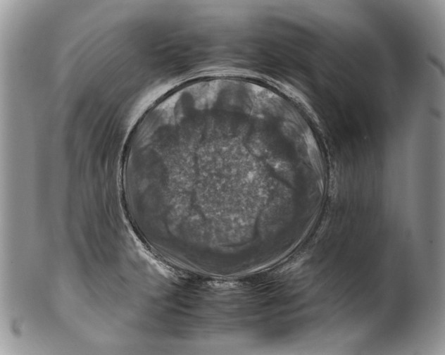 X0000099571231200806131249