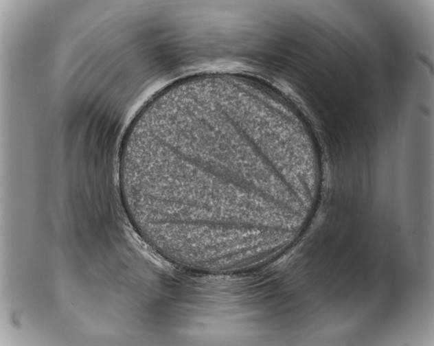 X0000099571232200806131249