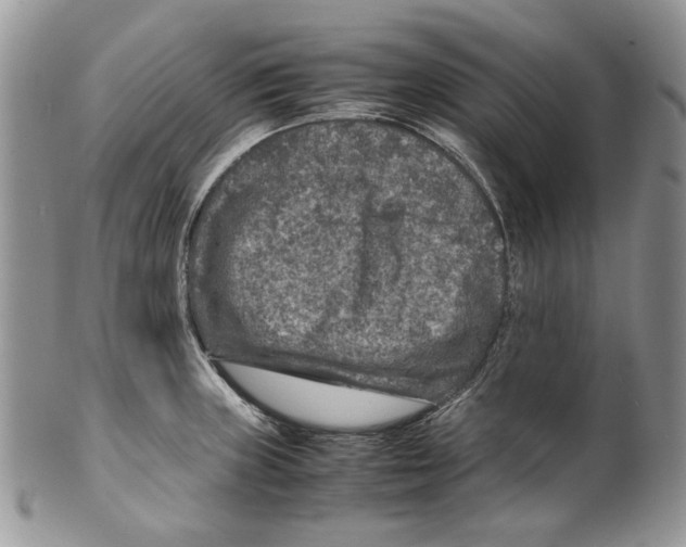 X0000099571235200806131249