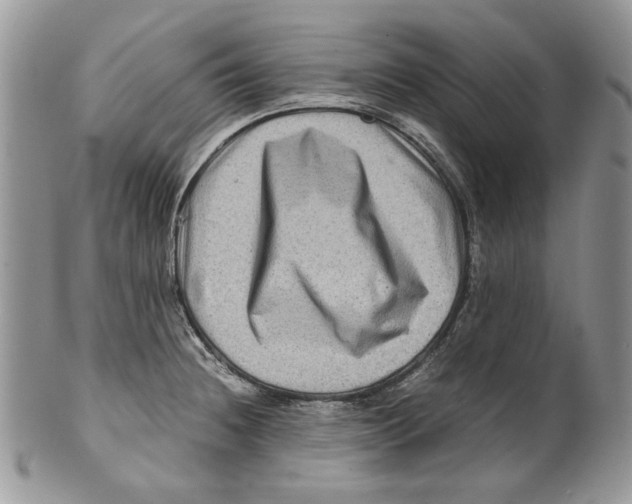 X0000099571236200806131249