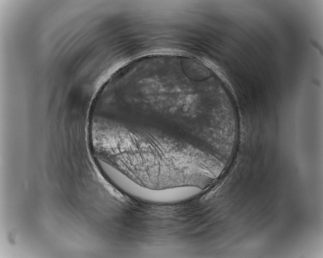 X0000099571237200806131249