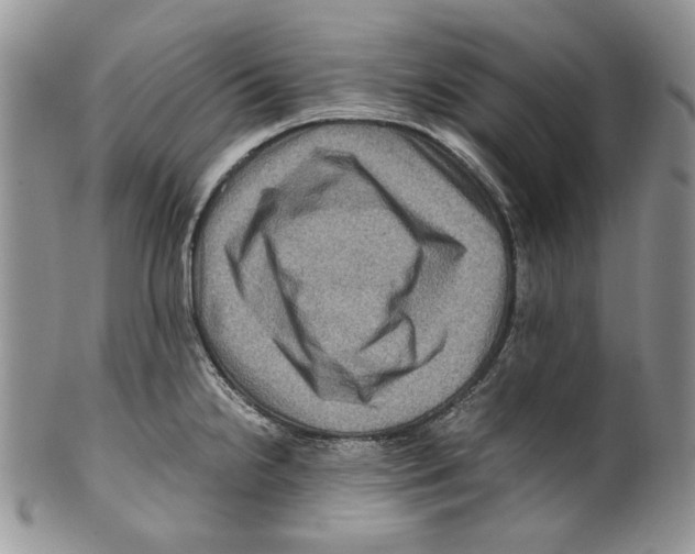 X0000099571238200806131249