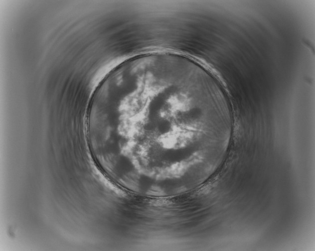X0000099571239200806131249