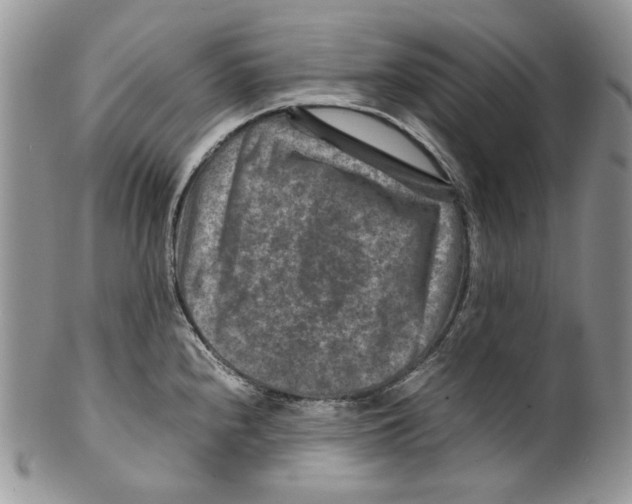 X0000099571240200806131249