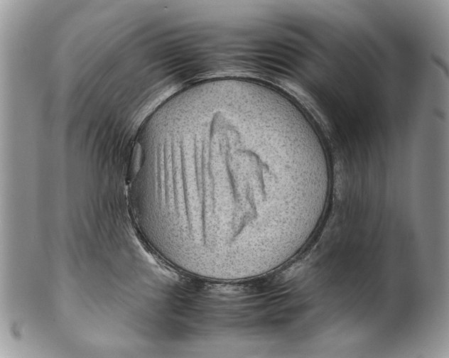 X0000099571241200806131249