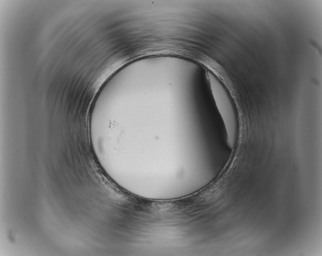 X0000099571242200806131249