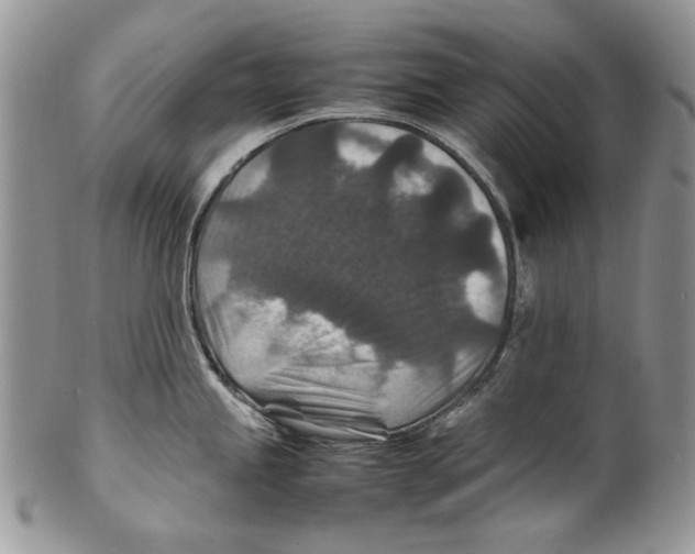 X0000099571245200806131249
