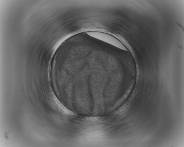X0000099571246200806131249