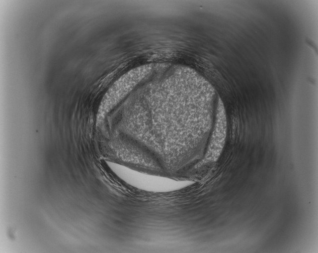 X0000099571250200806131249