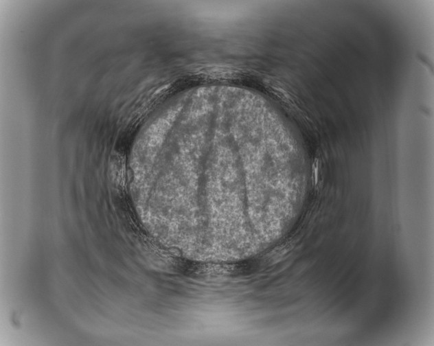 X0000099571251200806131249