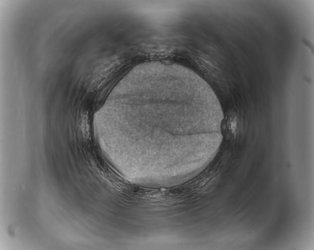 X0000099571252200806131249