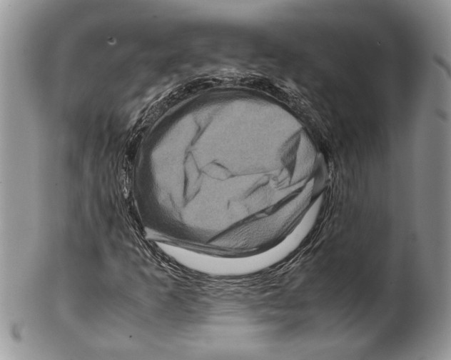 X0000099571253200806131249