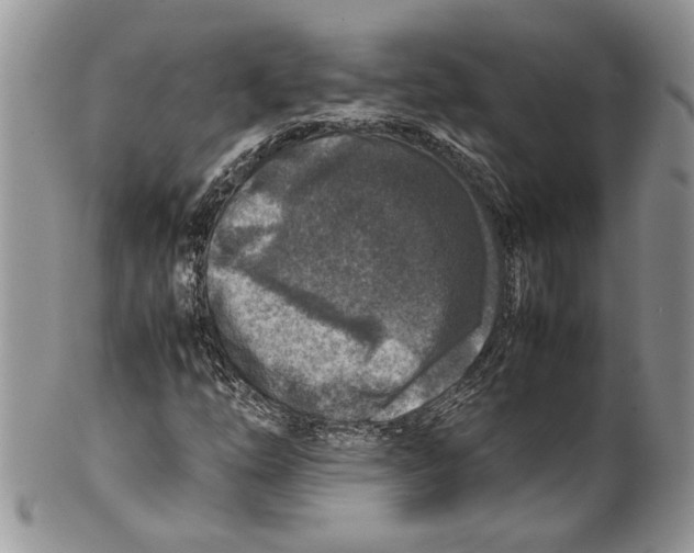 X0000099571254200806131249