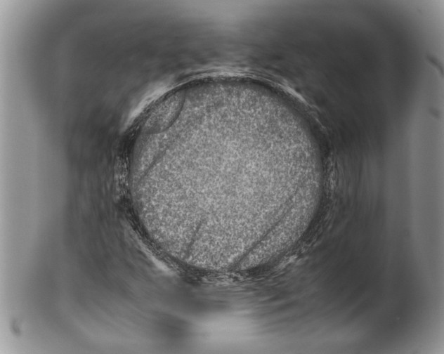 X0000099571255200806131249