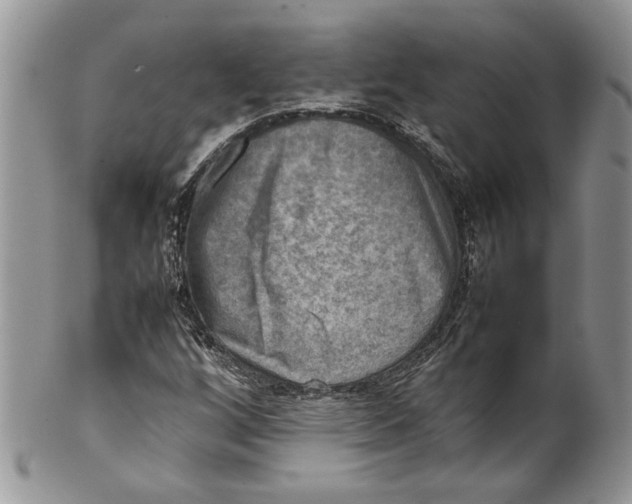 X0000099571256200806131249