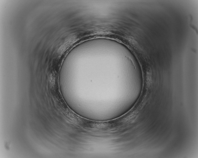X0000099571257200806131249