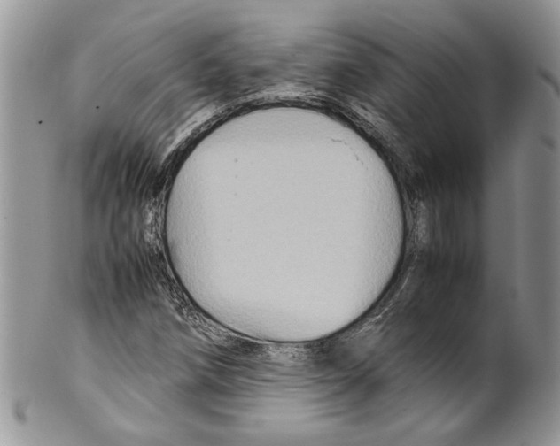 X0000099571258200806131249