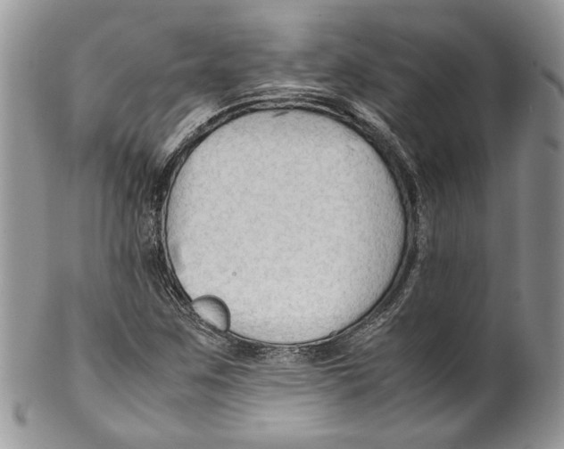 X0000099571259200806131249