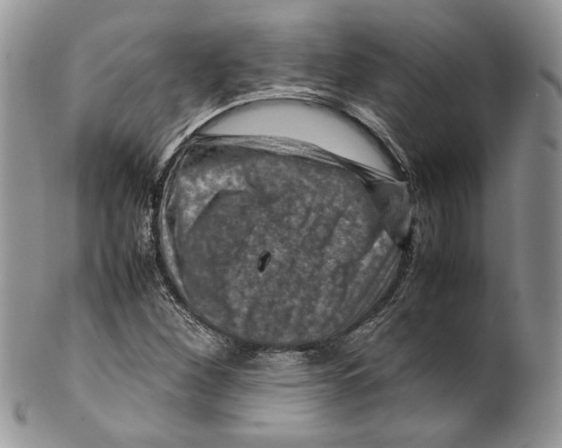 X0000099571260200806131249