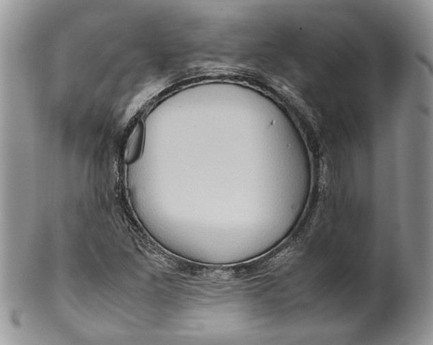 X0000099571261200806131249