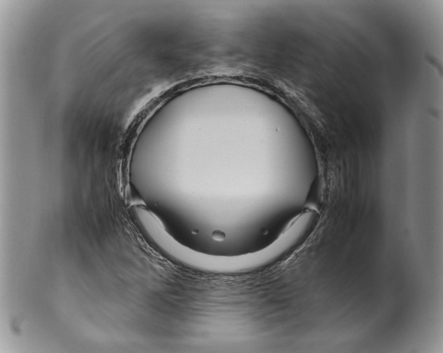X0000099571262200806131249