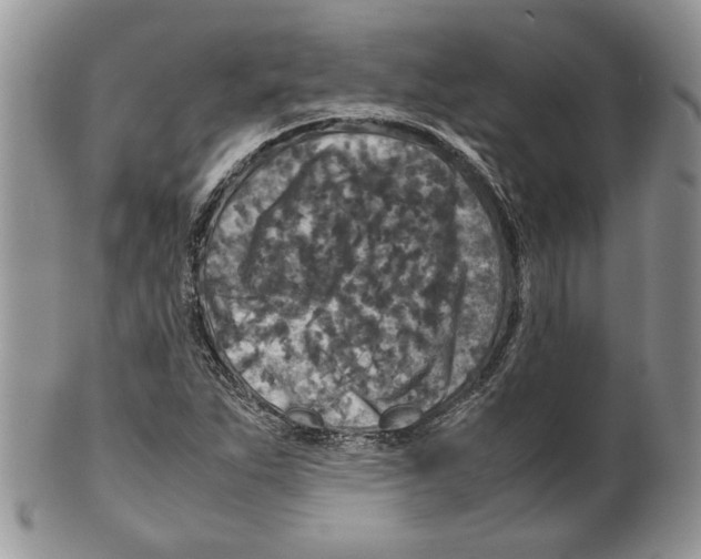 X0000099571263200806131249