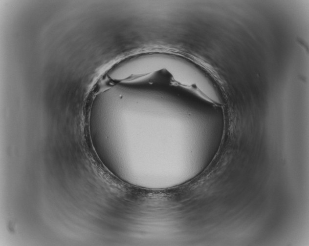X0000099571264200806131249