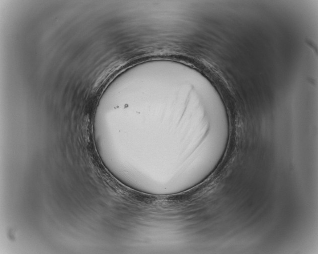 X0000099571265200806131249