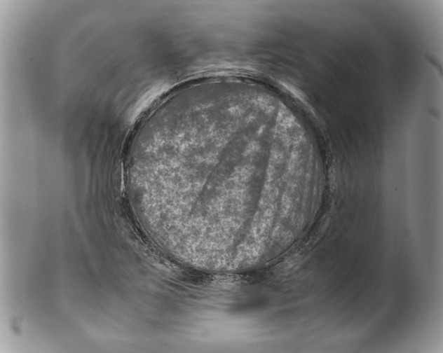 X0000099571267200806131249