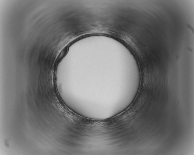 X0000099571268200806131249