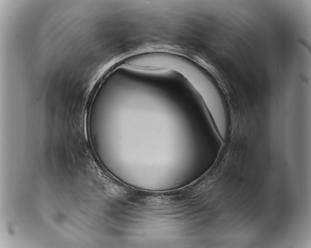 X0000099571272200806131248