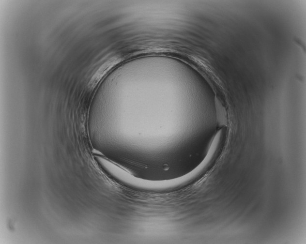 X0000099571273200806131248